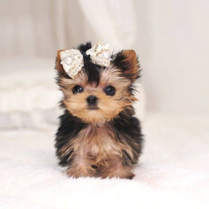 Meet your Posher, Jonnalyn